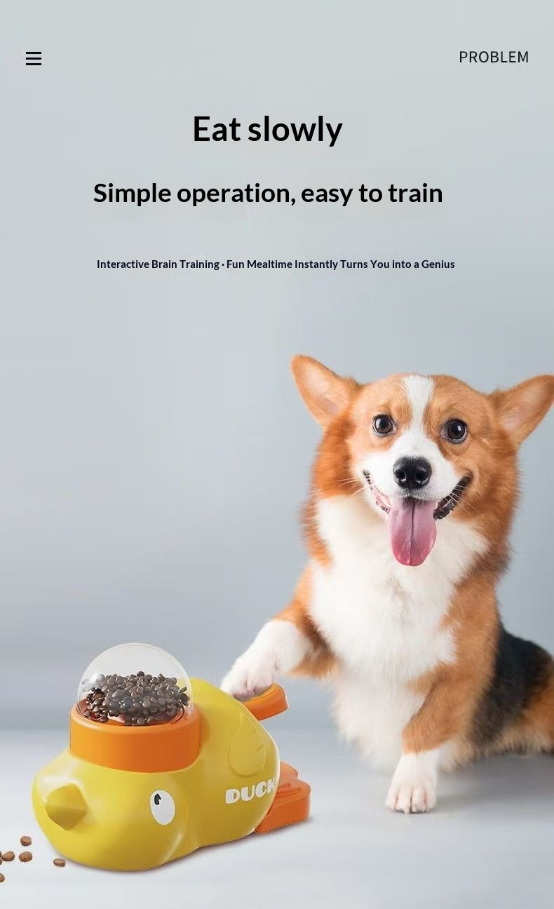 Smart Play Feeder for Cats