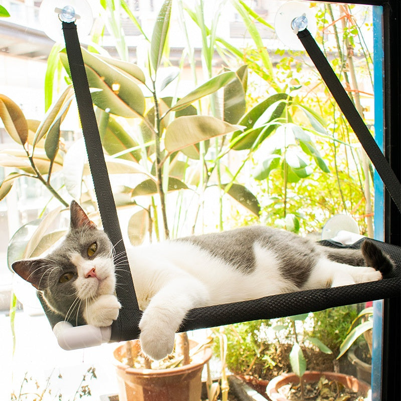 Window Cat Hammock Bed – Cozy Hanging Perch for Indoor Cats