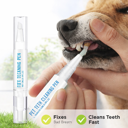 Pet Teeth Cleaning Pen – Fresh Breath & Healthy Gums